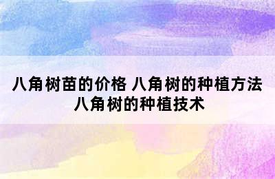 八角树苗的价格 八角树的种植方法 八角树的种植技术